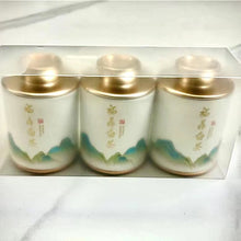 Load image into Gallery viewer, Fuding White Tea Old White Tea Gongmei Shoumei Small Cake Tea Aged Jujube Biscuits Tea Small Cans Boxed
