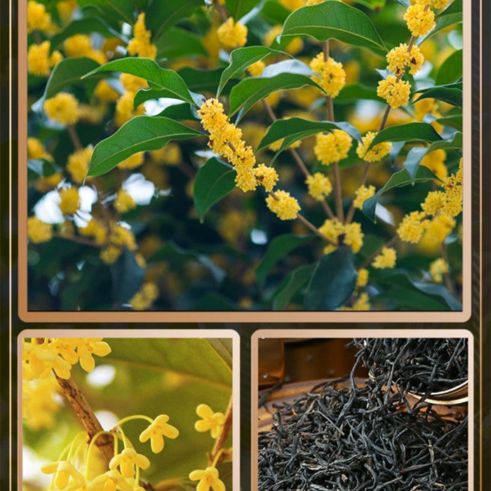 Osmanthus black tea (250g）