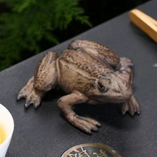 Load image into Gallery viewer, Ceramic Frog Tea Favourites
