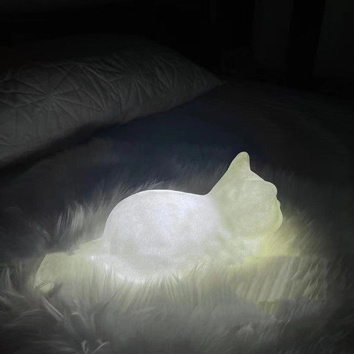 Cat's good night the latest cat warm light night light